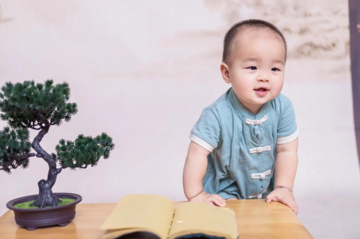 北京代生子机构包男孩可爱的企鹅宝宝